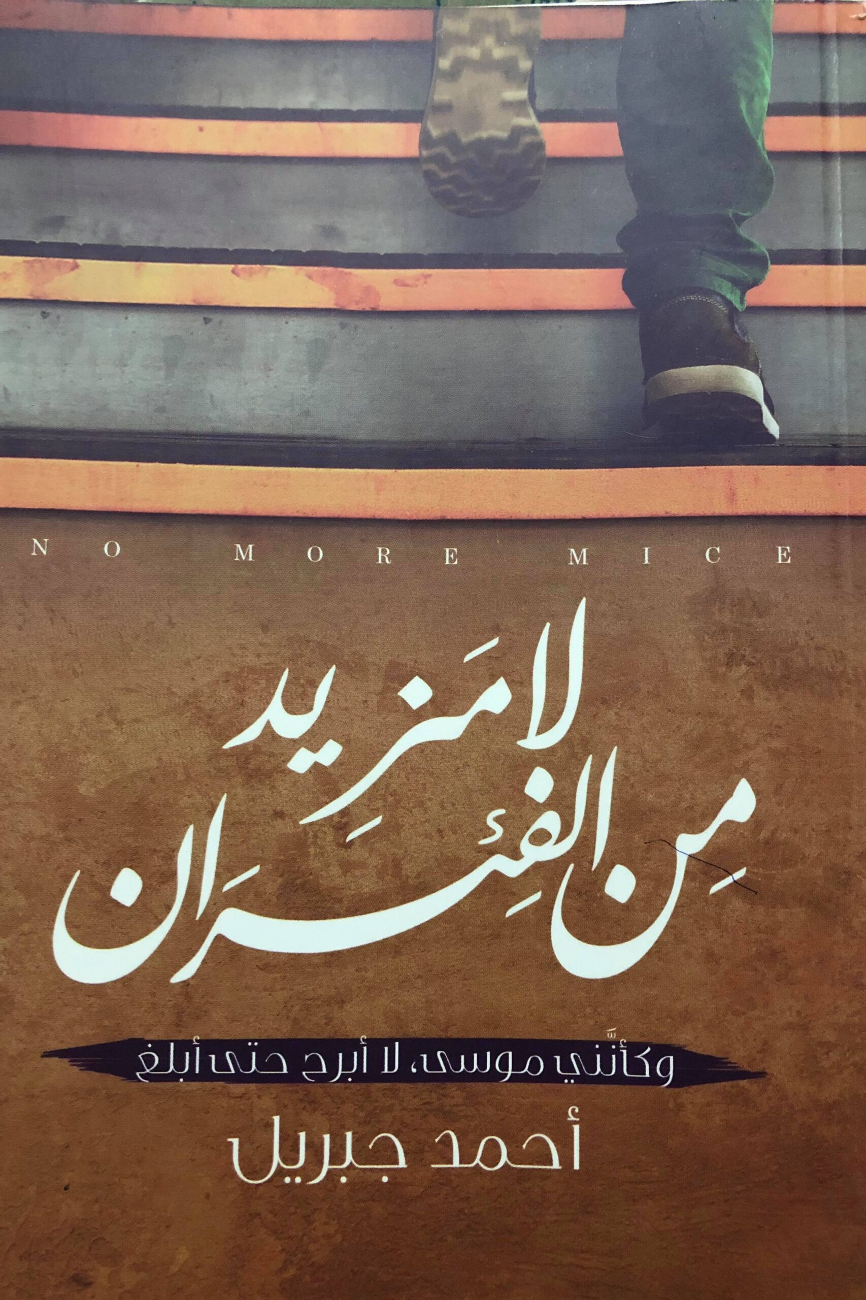 لا مزيد من الفئران