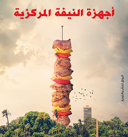 أجهزة النيفة المركزية