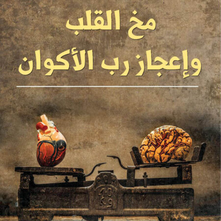 مخ القلب واعجاز رب الاكوان