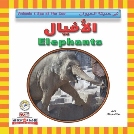 في حديقة الحيوان - الأفيال