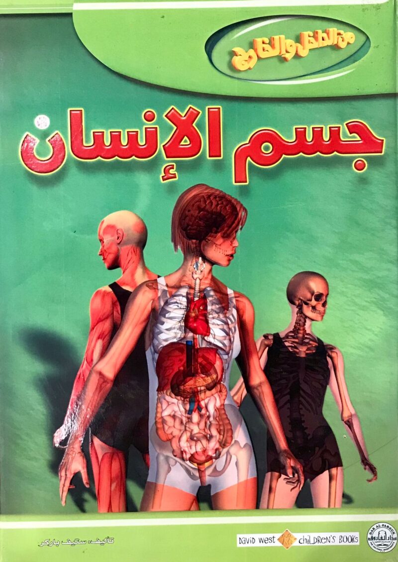 جسم الإنسان