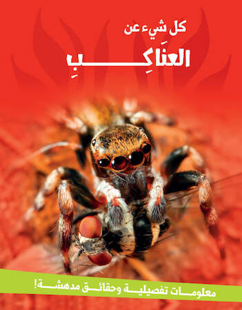 كل شىء - العناكب