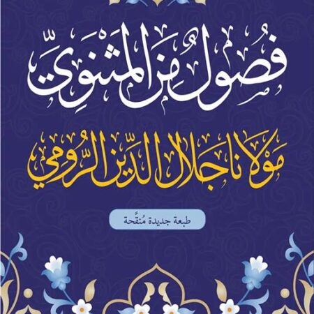 فصول من المثنوي