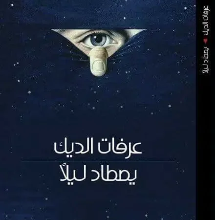 يصطاد ليلاً