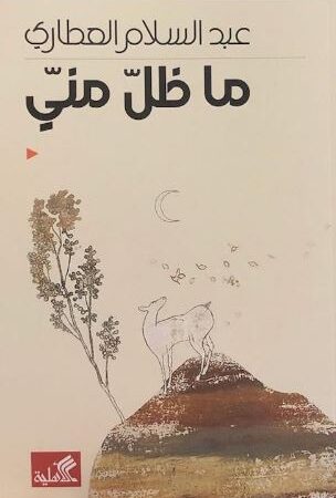 ما ظل مني