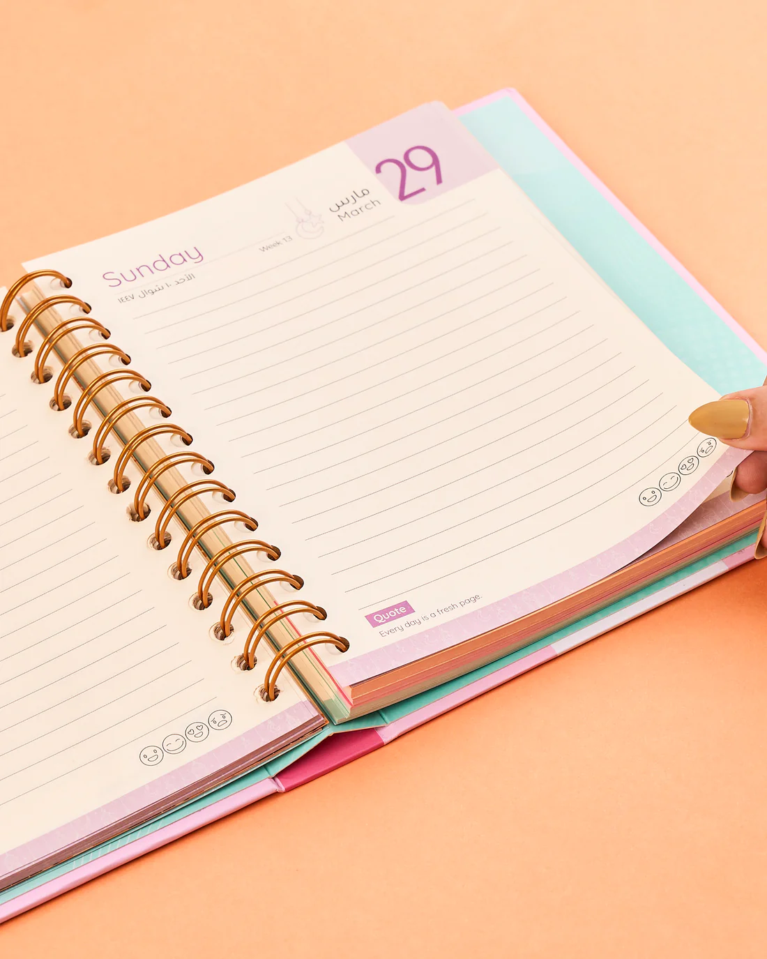 Labubu Agenda 2026 - Wire - الصورة 3