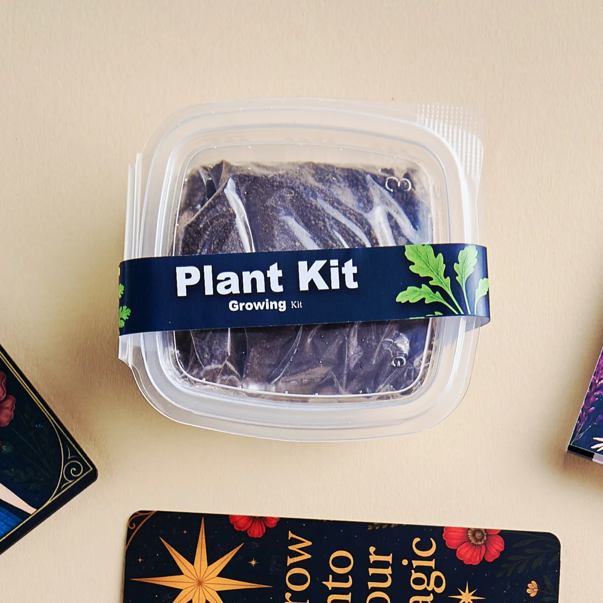 Velora Gate Gift Box 2026 – Sotor - الصورة 14